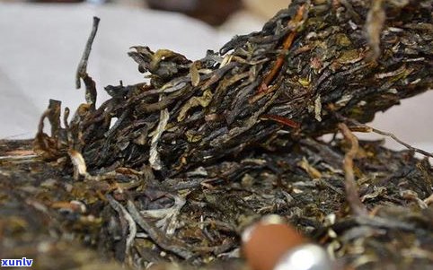 普洱茶的熟茶产地-普洱茶的熟茶产地是哪里