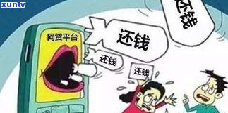 催收国家不管吗？现在该如何应对？