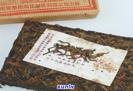 普洱天字茶砖的版本：天字号普洱茶砖、天字饼与云南普洱茶砖天字头详解