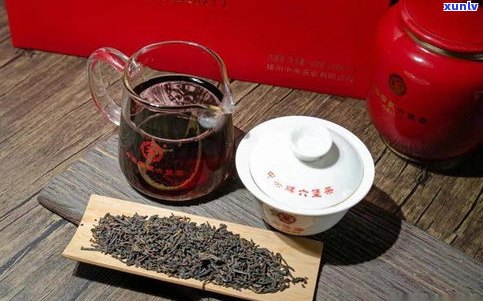 六堡茶属于普洱茶-六堡茶属于普洱茶类吗