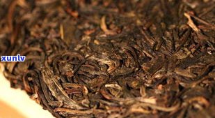 古树金砖普洱茶：生茶、图片、价格与礼盒装全介绍