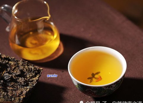 普洱茶黄茶的功效-普洱茶黄茶的功效与作用