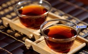 明日叶茶与普洱茶：区别、特点及分类全解析