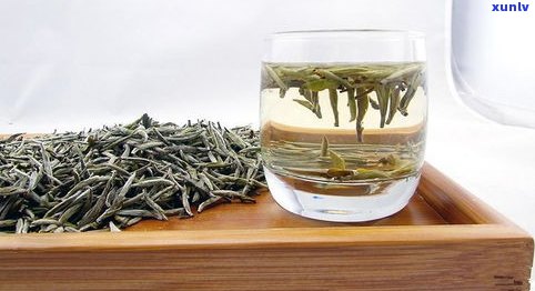 明日叶茶与普洱茶：区别、特点及分类全解析