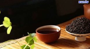 明日叶茶与普洱茶-明日叶茶与普洱茶的区别