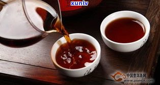 春季普洱茶：最佳搭配与冲泡方法全解析