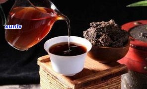 普洱茶秋茶叫什么茶名？详解其特点与优劣