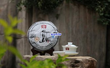 普洱大益茶厂：简介、地址与官网全览