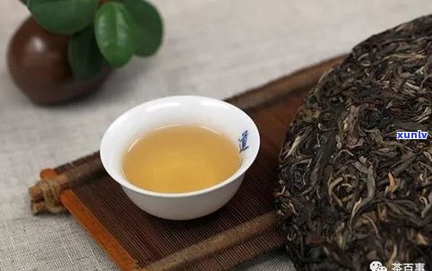 普洱茶生茶为何不易喝？原因解析与减肥效果探讨