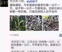 茶王寨普洱茶：品质如何？是否值得购买？全网评价与价格一览