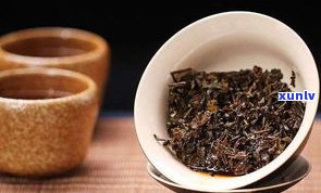 中茶普洱哪款茶值得收藏？精选中茶普洱茶推荐与评价