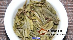 普洱茶散茶有味吗-普洱散茶味道感觉