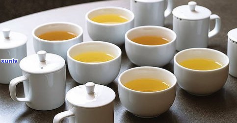 普洱烤茶：别名、文化全解析