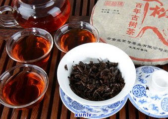 普洱茶的干茶：外形、冲泡特点与色泽香味解析