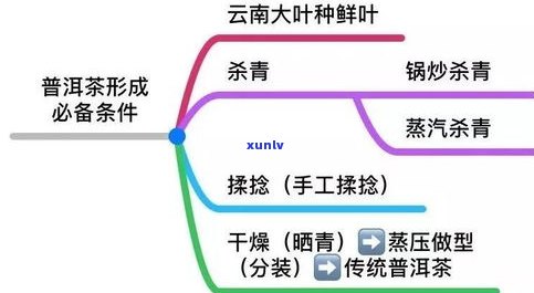 普洱干燥吗？了解普洱茶的湿度与气候特点及如何改善过于干燥的情况