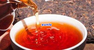 普洱茶的茶有异味-普洱茶的茶有异味正常吗