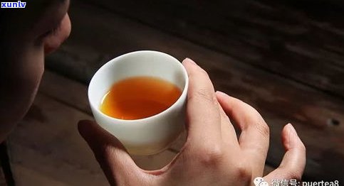 乌龙茶普洱茶哪个好？口感、健康价值全面比较