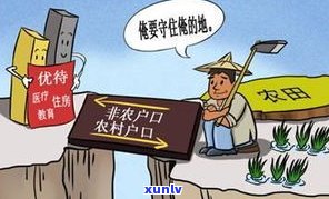 催收引起债务人死亡赔偿疑问：怎样界定责任及赔偿金额？