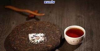 糯香普洱茶口粮茶-糯香普洱茶口感