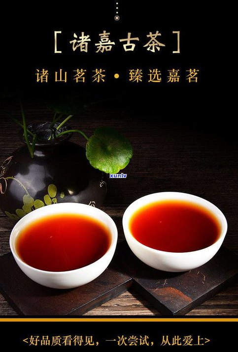 糯香茶化石普洱熟茶的正确冲泡方法及最佳口感，熟悉其功效