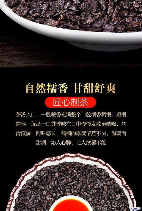 糯香茶化石普洱熟茶的正确冲泡方法及最佳口感，了解其功效