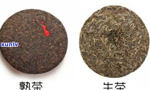 普洱茶生茶拉肚子-普洱茶生茶拉肚子能喝吗