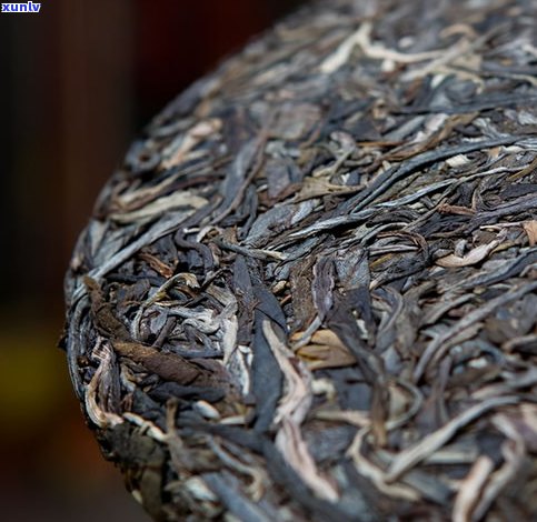 普洱茶野生芽苞茶：探索其特性和功效