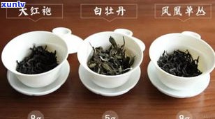 普洱茶野生芽苞茶：探索其特性和功效