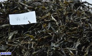 普洱茶野生芽苞茶：探索其特性和功效