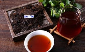景迈古树普洱茶熟茶口感与特点全解析，附生茶口感及价格