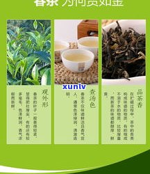 景迈古普洱茶生茶-景迈古树普洱茶生茶