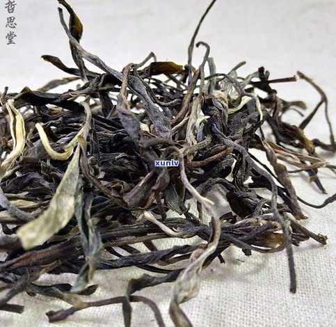 景迈古普洱茶生茶-景迈古树普洱茶生茶