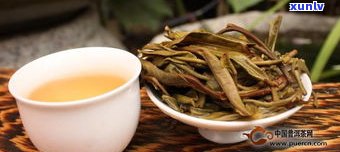 普洱茶饼茶的外形特征：形状、颜色与纹路解析