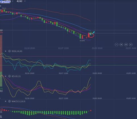 普洱老茶行情：走势、分析与价格图全解析