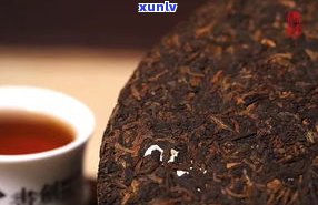 云凤山普洱茶生茶-云南凤山普洱茶