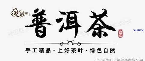 普洱茶制茶大师陈焕光：从茶叶到书法的全方位介绍