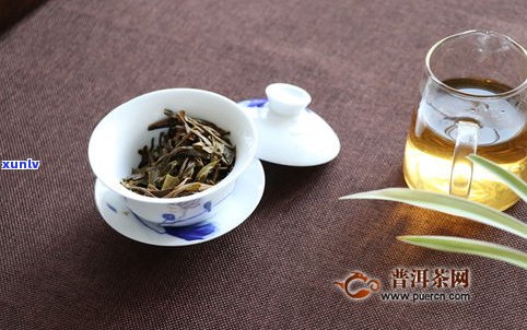 龙珠茶是普洱茶吗-龙珠茶是普洱茶吗