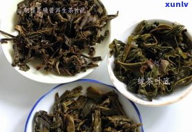 常喝普洱生茶的好处：功效、优点及注意事项