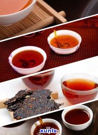荷叶茶与普洱茶的口感对比：哪个更好喝？