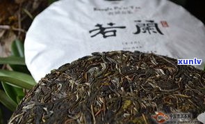 普洱沱茶与普洱散茶的品质特征对比：有何异同？