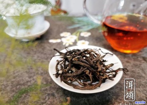 普洱沱茶与普洱散茶的品质特征对比：有何异同？