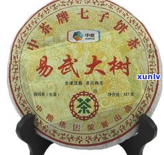 普洱茶饼茶高清图-普洱茶饼茶高清图片大全