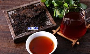 普洱茶珍怎么样？功效、制作方法全解析