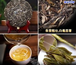 怎样起普洱茶视频：详解普洱茶制作过程的教程