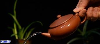 普洱茶：盖碗与茶壶的冲泡比较，哪种方式更好？