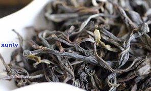 普洱茶是霉变茶吗-普洱茶是霉变茶吗能喝吗