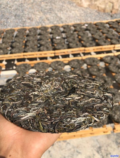 普洱茶拼配茶工艺流程详解：从原料选择到成品调配