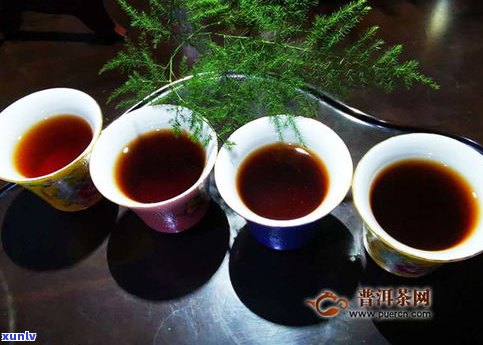 普洱茶的茶果图片大全大图：真实展示普洱茶树的果实