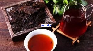 普洱茶梗：茶种、种类及功效解析，附图说明