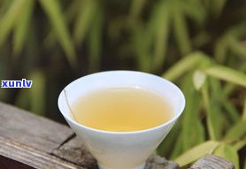 普洱茶用什么茶泡-普洱茶用什么茶泡最好